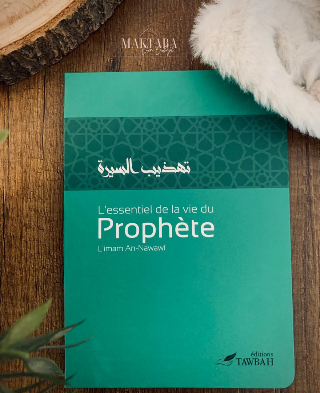 L'essentiel De La Vie Du Prophète, De L' Imam An-Nawawî (3ème Édition)